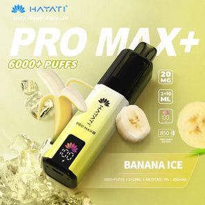 Hayati Pro Max Plus 6000+ | Single Bar