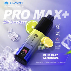 Hayati Pro Max Plus 6000+ | Single Bar