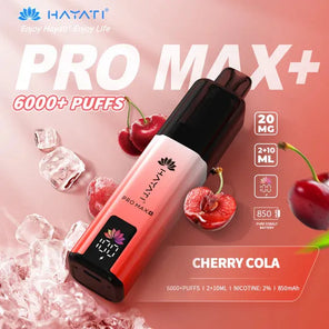 Hayati Pro Max Plus 6000+ | Single Bar