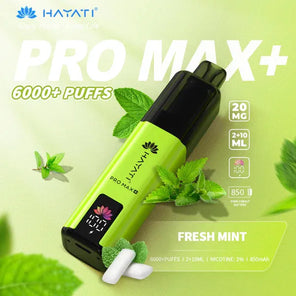 Hayati Pro Max Plus 6000+ | Single Bar