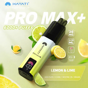 Hayati Pro Max Plus 6000+ | Single Bar